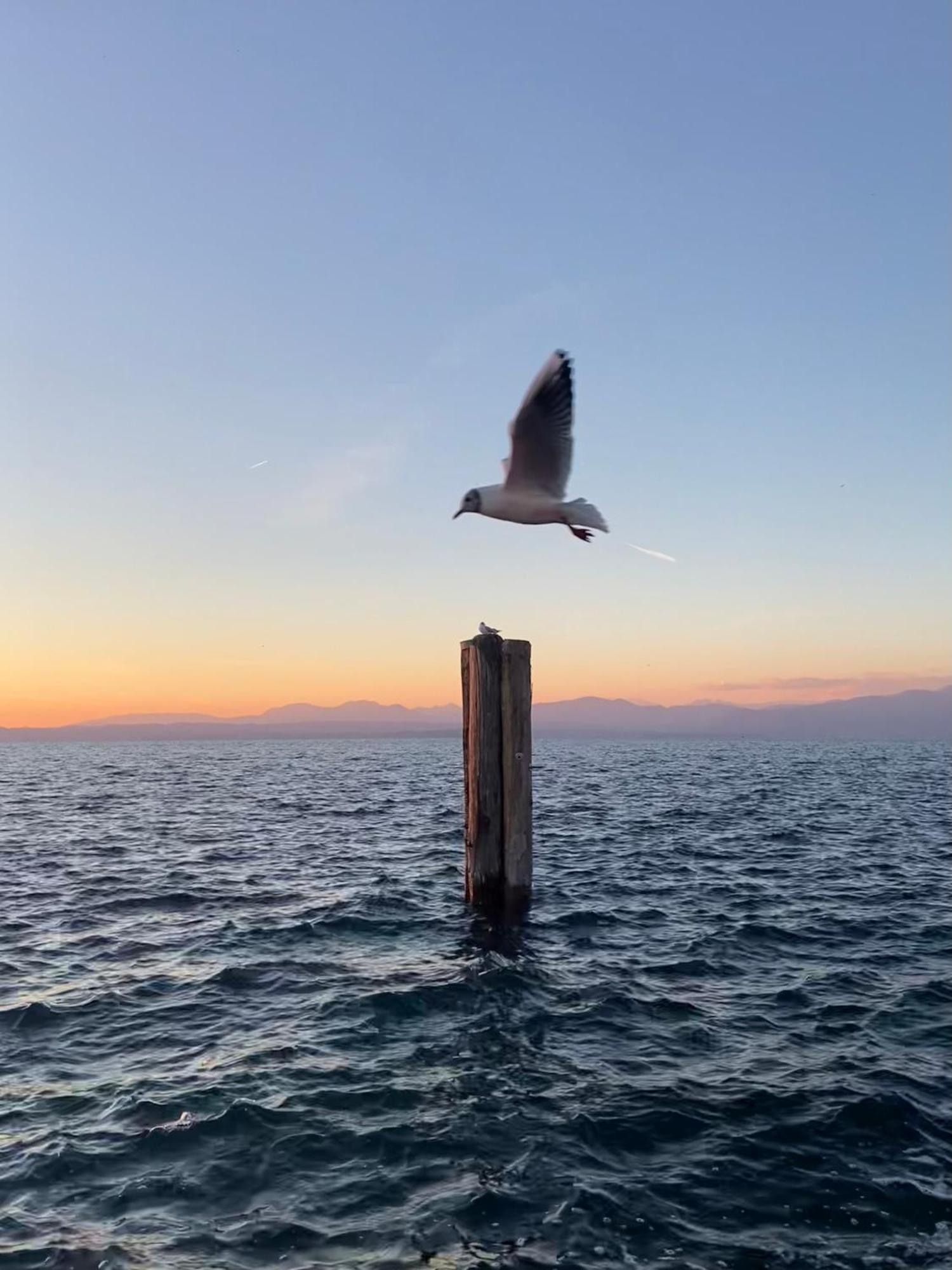 Casa Peppa Lägenhet Lazise Exteriör bild